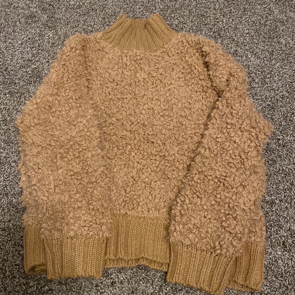 Express teddy sweater